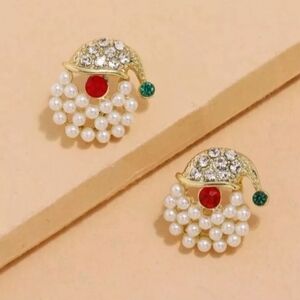 Santa Claus Stud Earrings